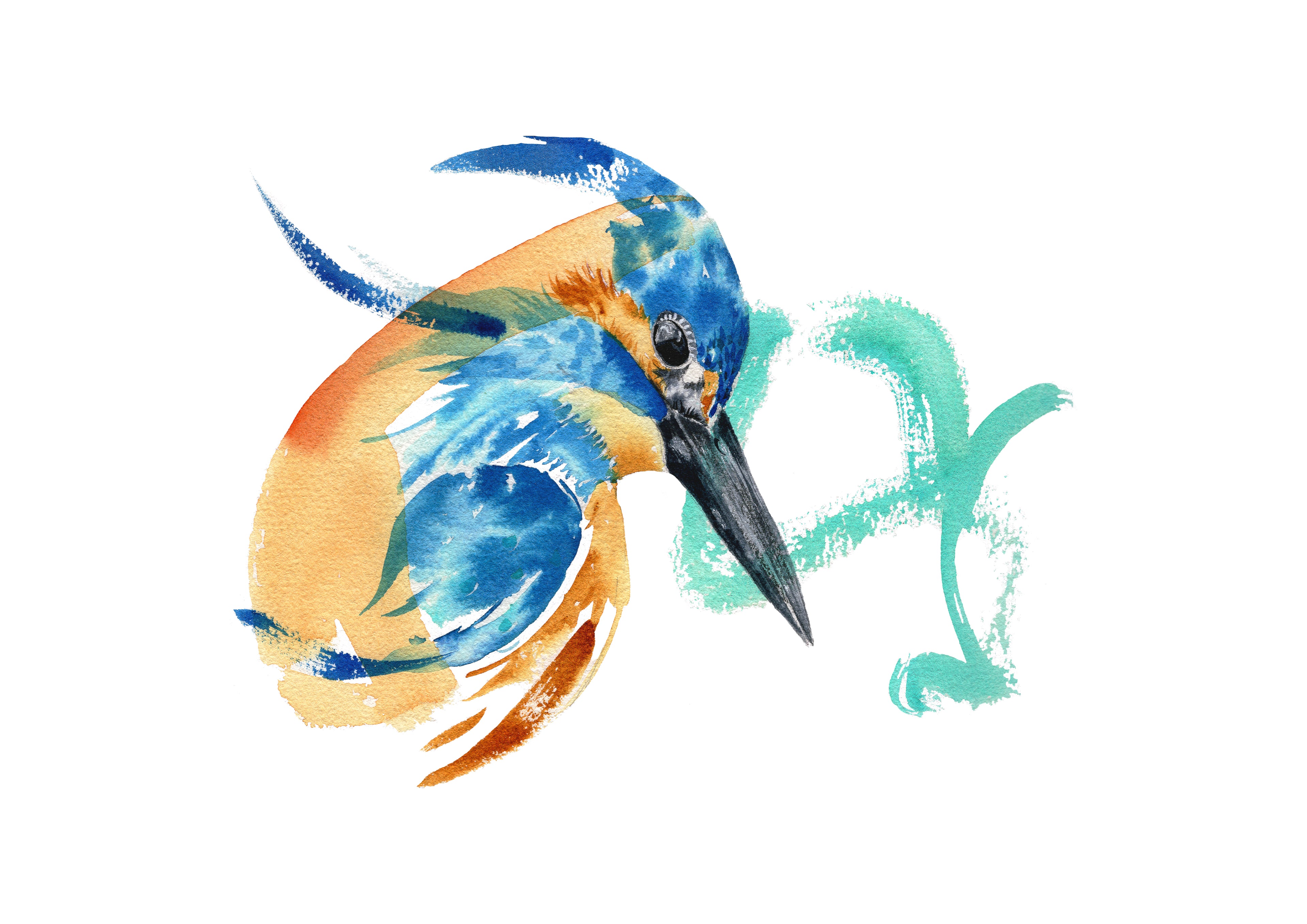 Kingfisher – Art Print