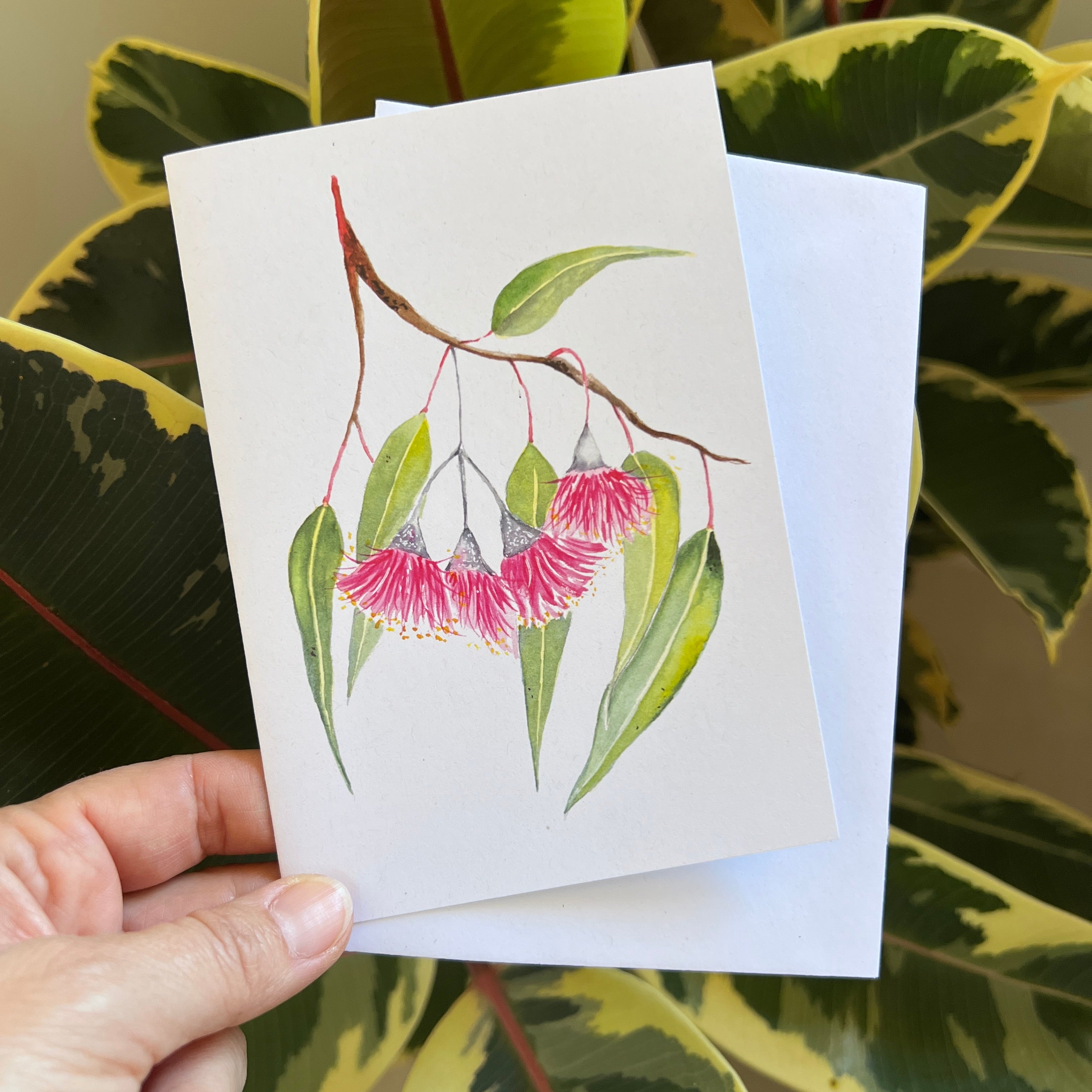 Silver Princess - Eucalyptus Greeting Card