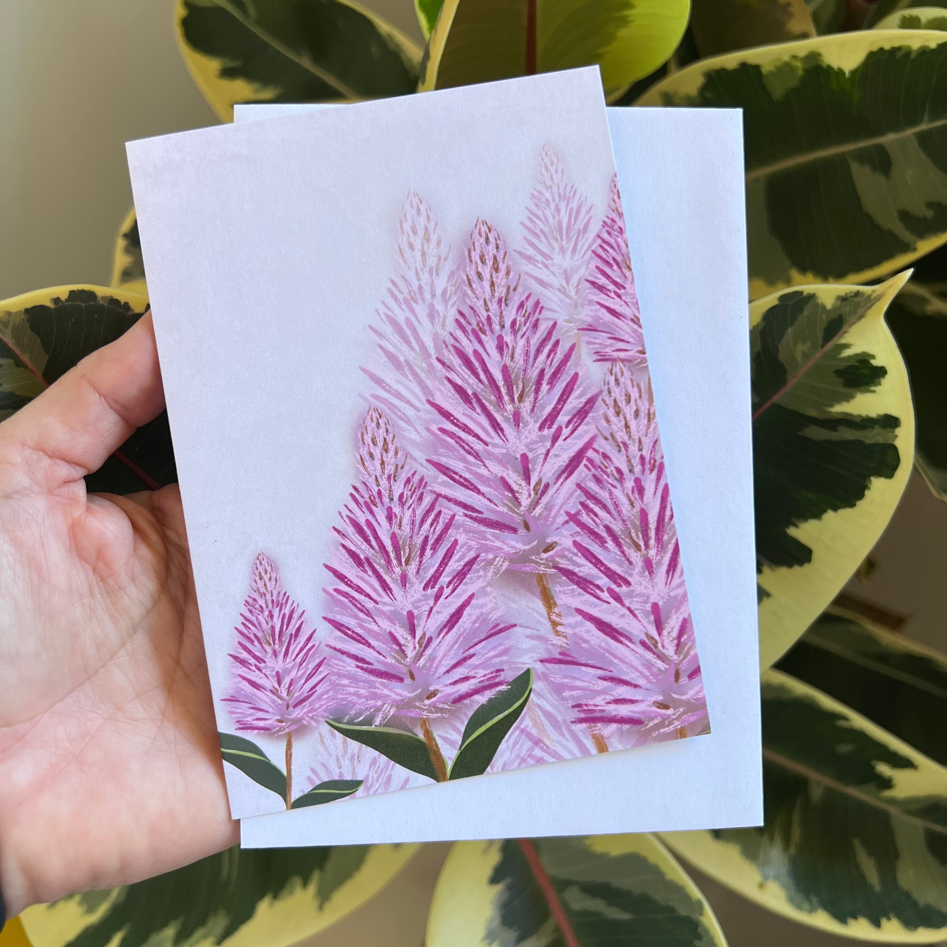 Hand holding a card with pink and purple mulla mulla floral design against a green leafy background