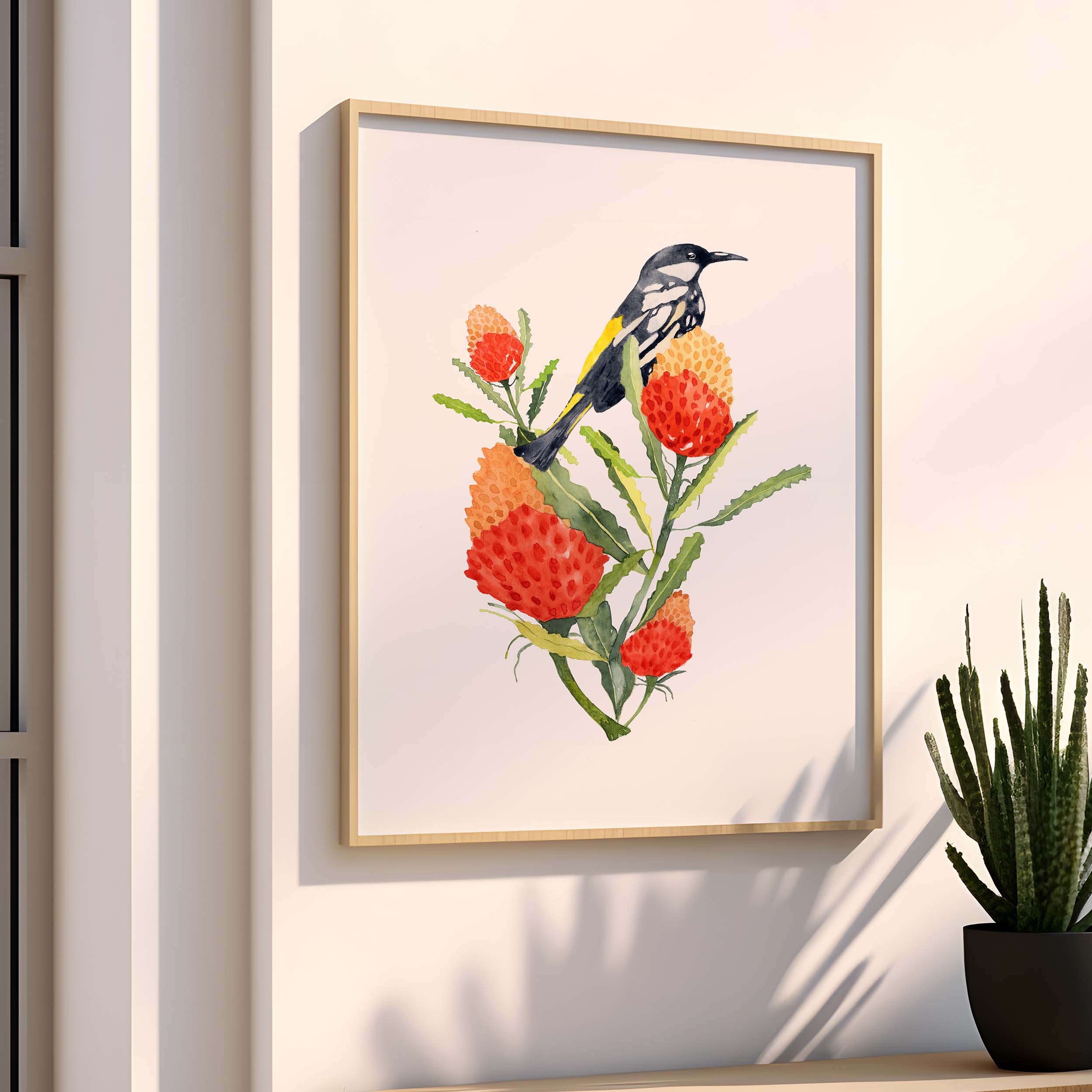New Holland Honeyeater - Art Print
