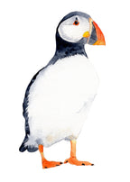 Puffin - Art Print