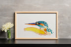 Common kingfisher - Art Print