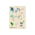 Cairns tea towel featuring tropical Australian watercolour artwork like cassowary, curlew, crocodile, kingfisher, turtle, reef, fish by Eszter Torok