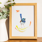 Splendid Fairy-wren - Art Print