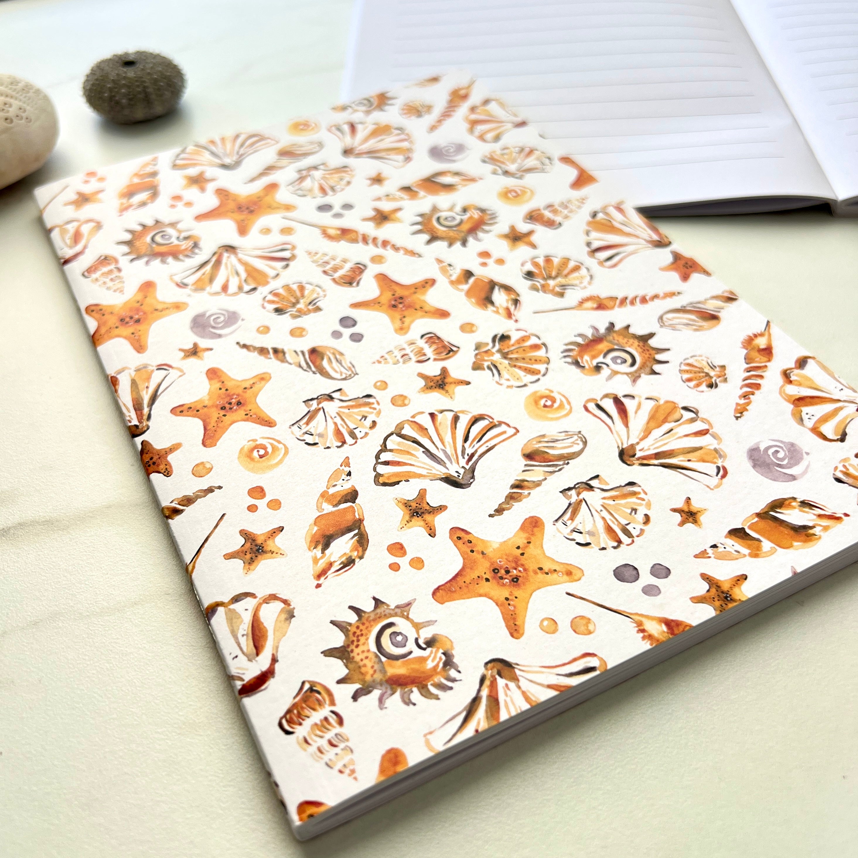 Watercolour Shells – Lined Journal