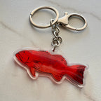 australian coral trout keyring by eszter's creations