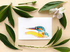 Common kingfisher - Art Print