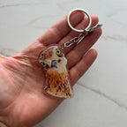 Curious Curlew – Acrylic Keychain