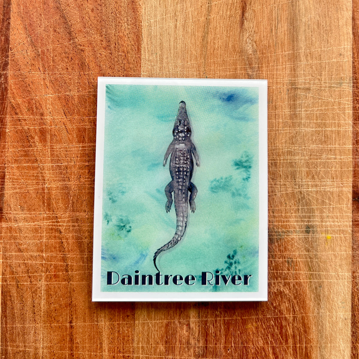 A rectangular fridge magnet featuring a crocodile illustration over a light aqua watercolor background, with the text 'Daintree River' at the bottom, placed on a wooden surface.