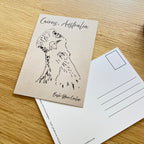 Postcard featuring a bush stone curlew in Cairns, Australia.