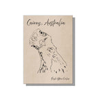 Bush Stone Curlew Postcard Cairns