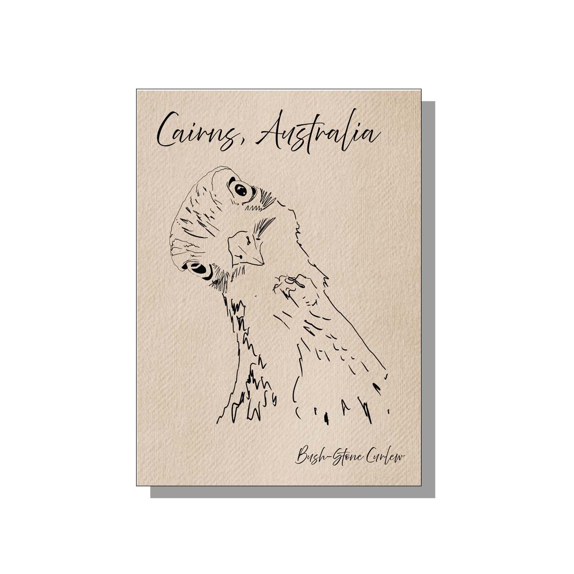 Bush Stone Curlew Postcard Cairns