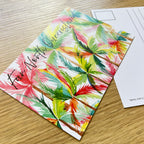 Far North Queensland Palm Trees - Postcard