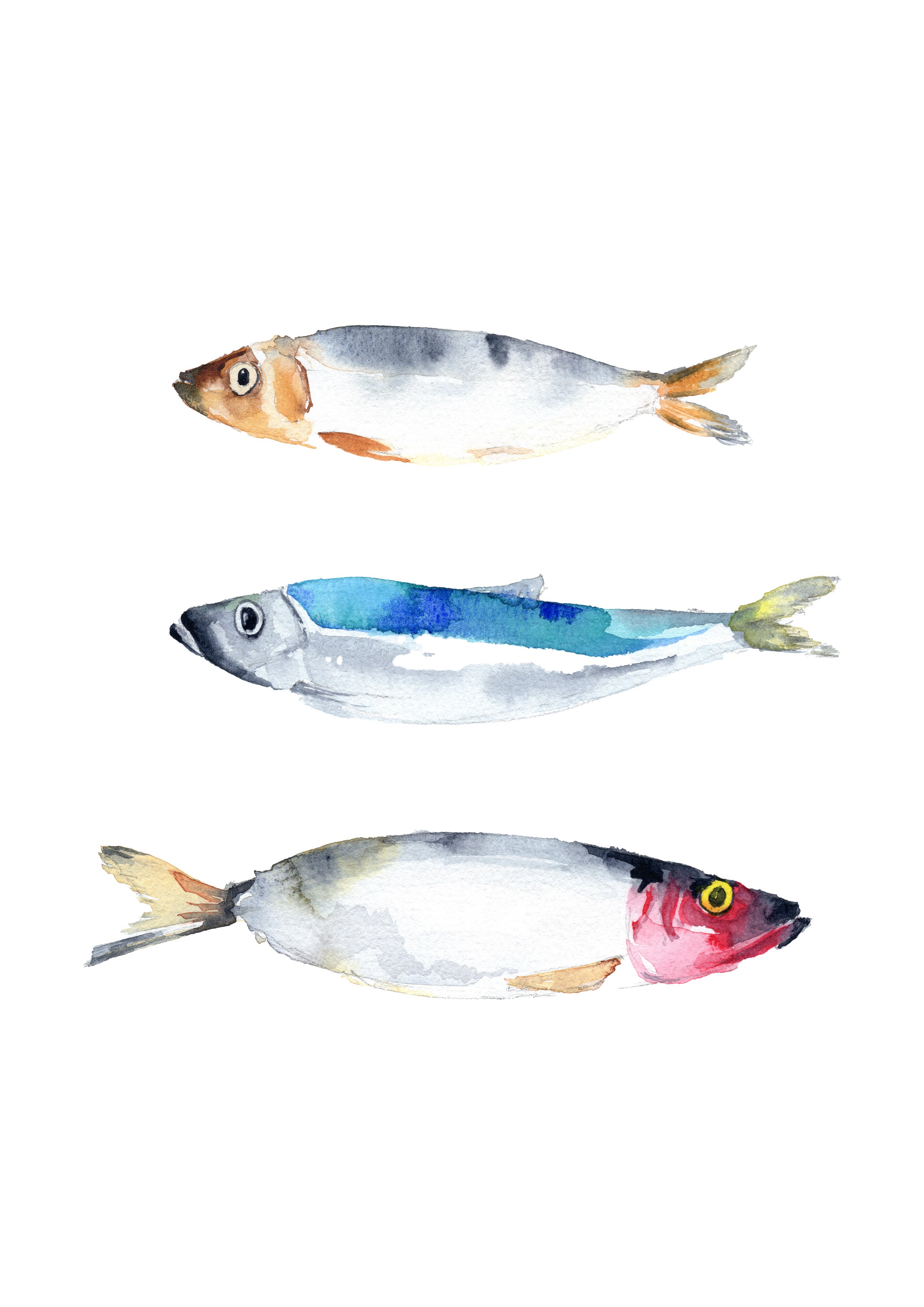Herrings - Art Print