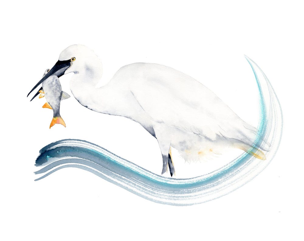 Heron with fish art print