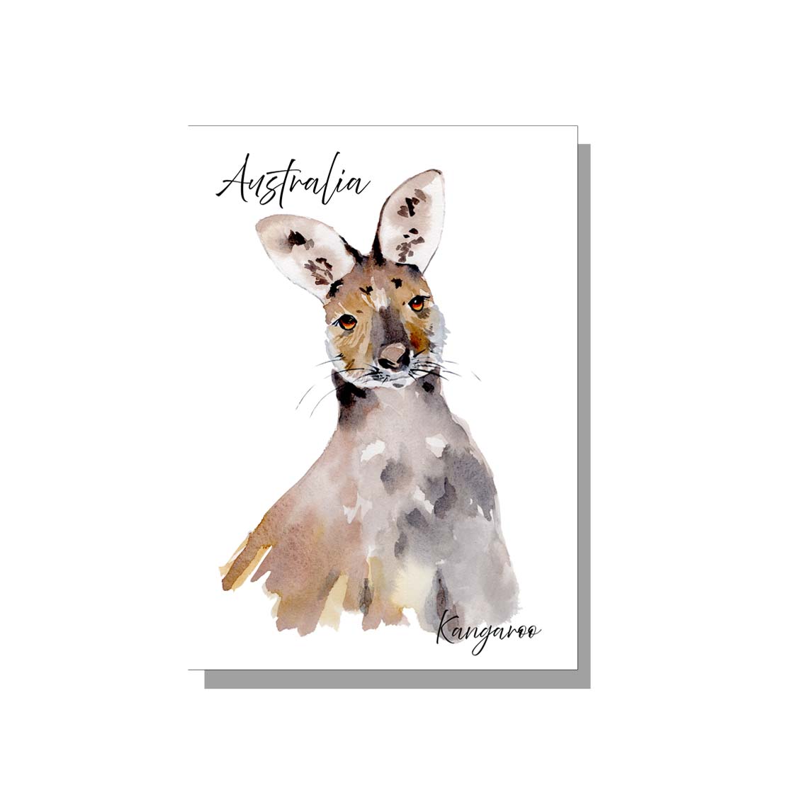 postcard featuring watercolor painting of a kangaroo portrait