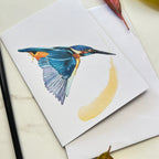 Card with a kingfisher bird illustration on a white surface