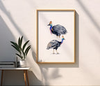 Cassowary – Art Print