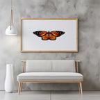 Monarch butterfly - Art Print