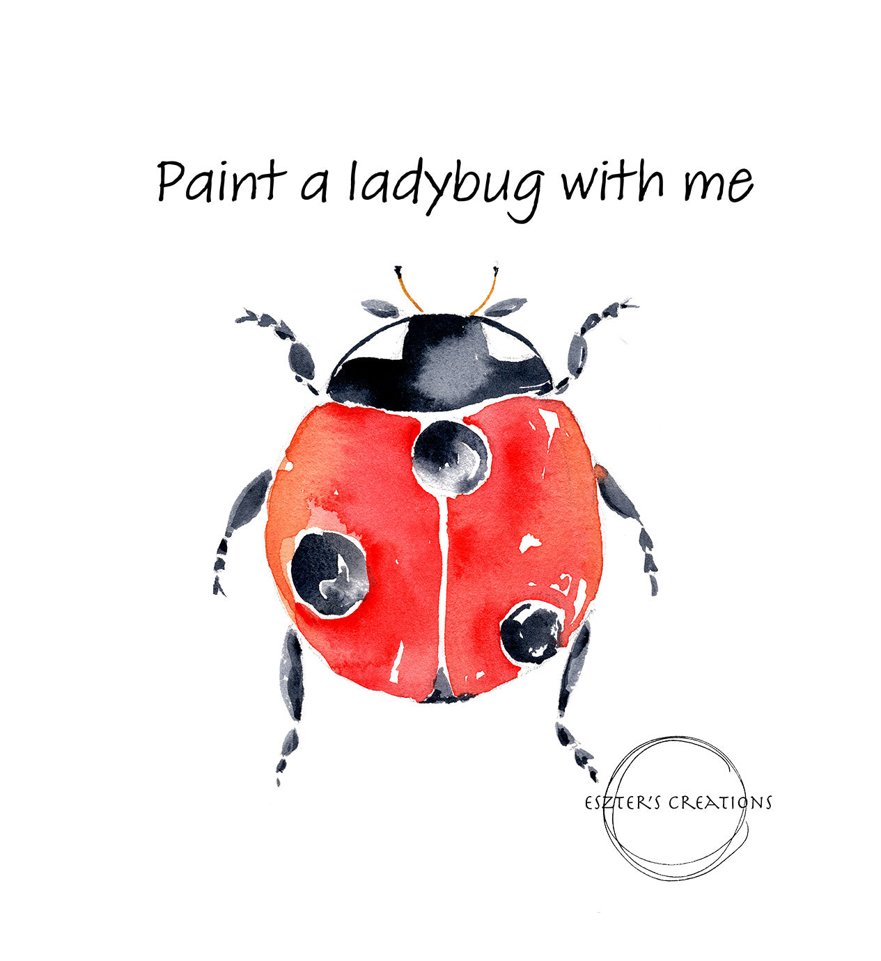Ladybug tutorial