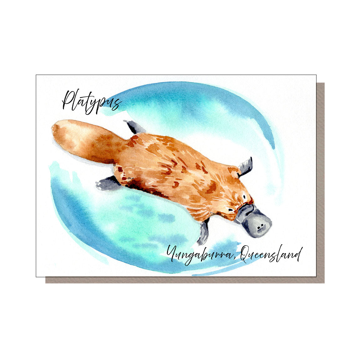 Postcard featuring local native platypus swimming in water. created with watercolors by cairns artist. 