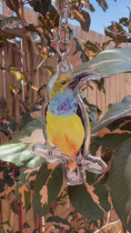Colorful acrylic sunbird keychain by eszter's creations