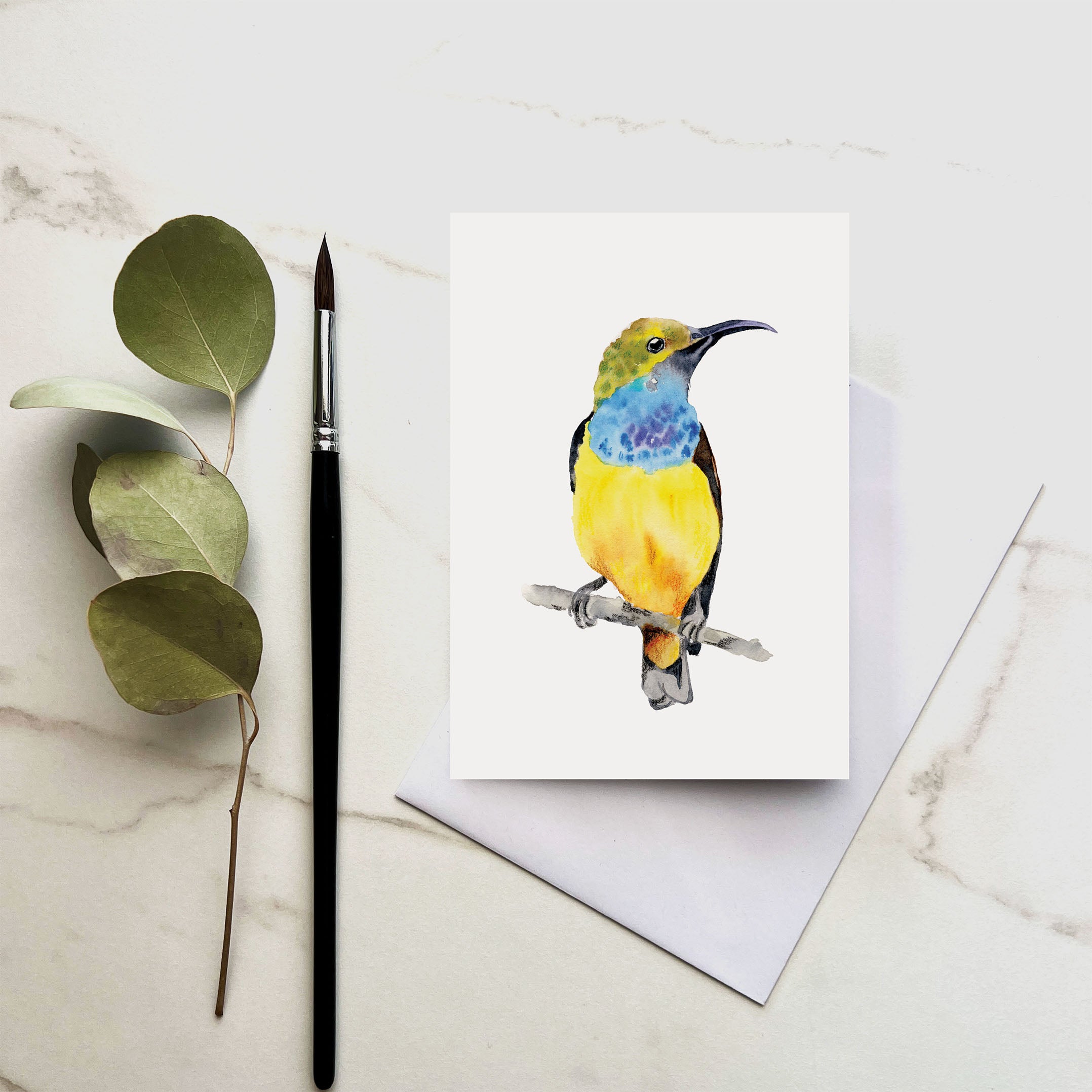Sunbird greeting card with bright tropical watercolour bird artwork.