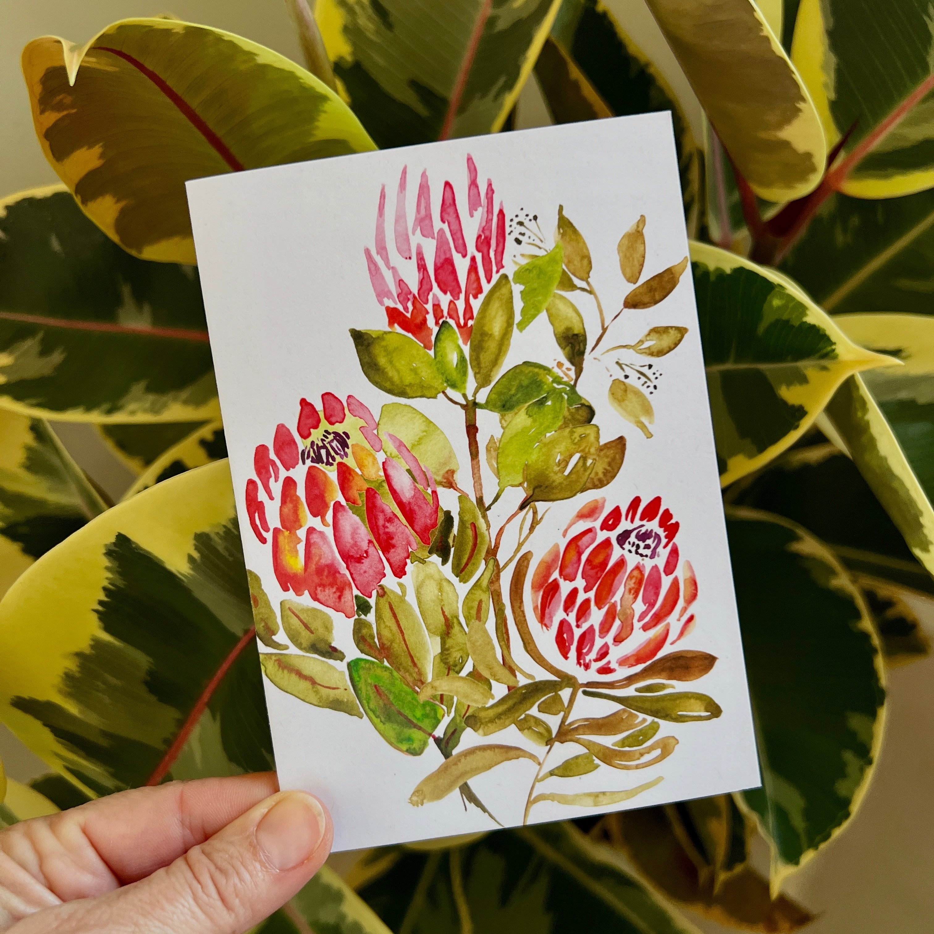 Protea greeting card with hand-painted botanical watercolour flower artwork.